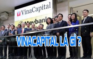 Vinacapital là gì